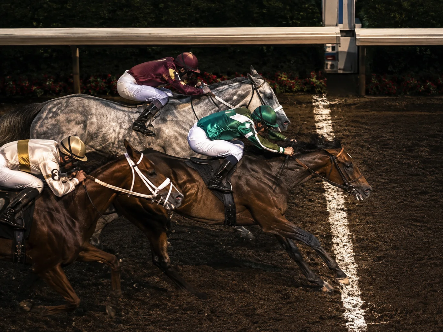 Three distinct racehorses crossing the finish line